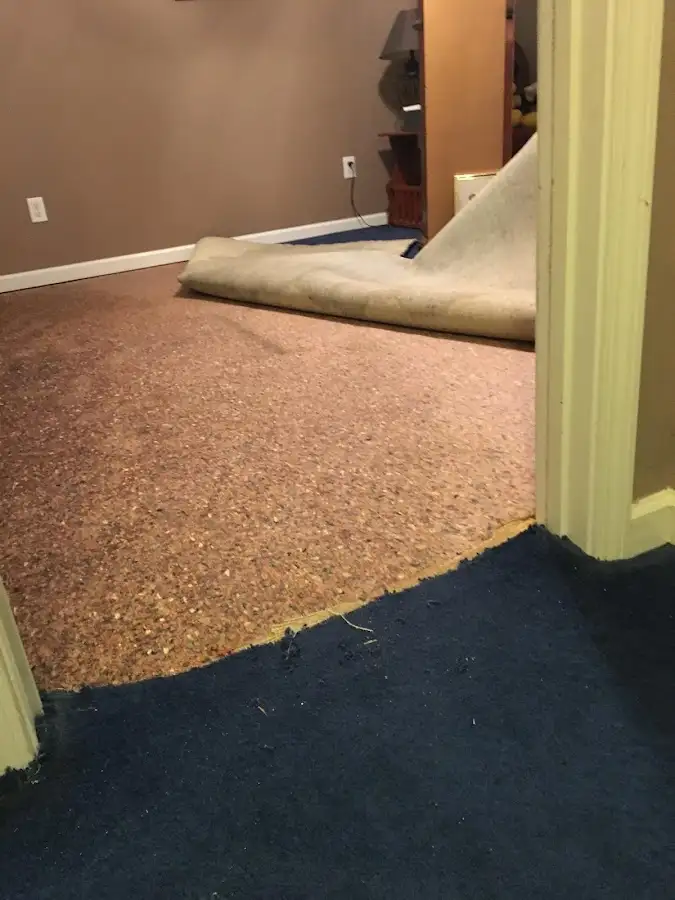 Carpet pad removal revealing water damage during Drying & Dehumidification in Rockmart